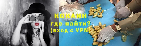 прущие грибы Няндома