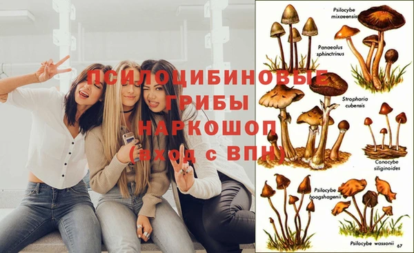 гашишное масло Баксан